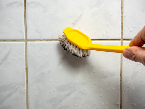 Certified Mold Removal in University Gardens, NY