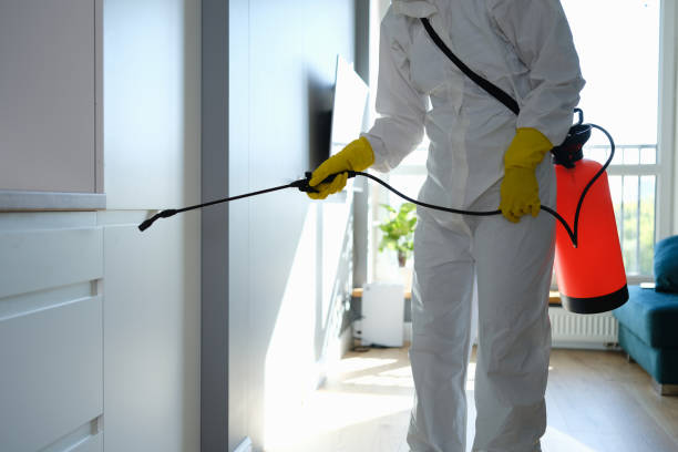 Best Certified Mold Removal  in University Gardens, NY